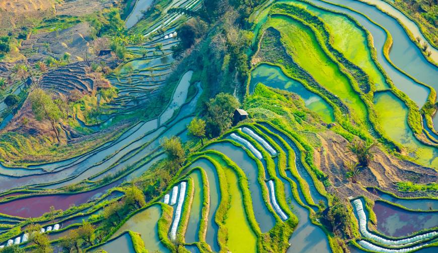 走进金州区TVC拍摄：解锁本地化场景与创意镜头的完美融合
